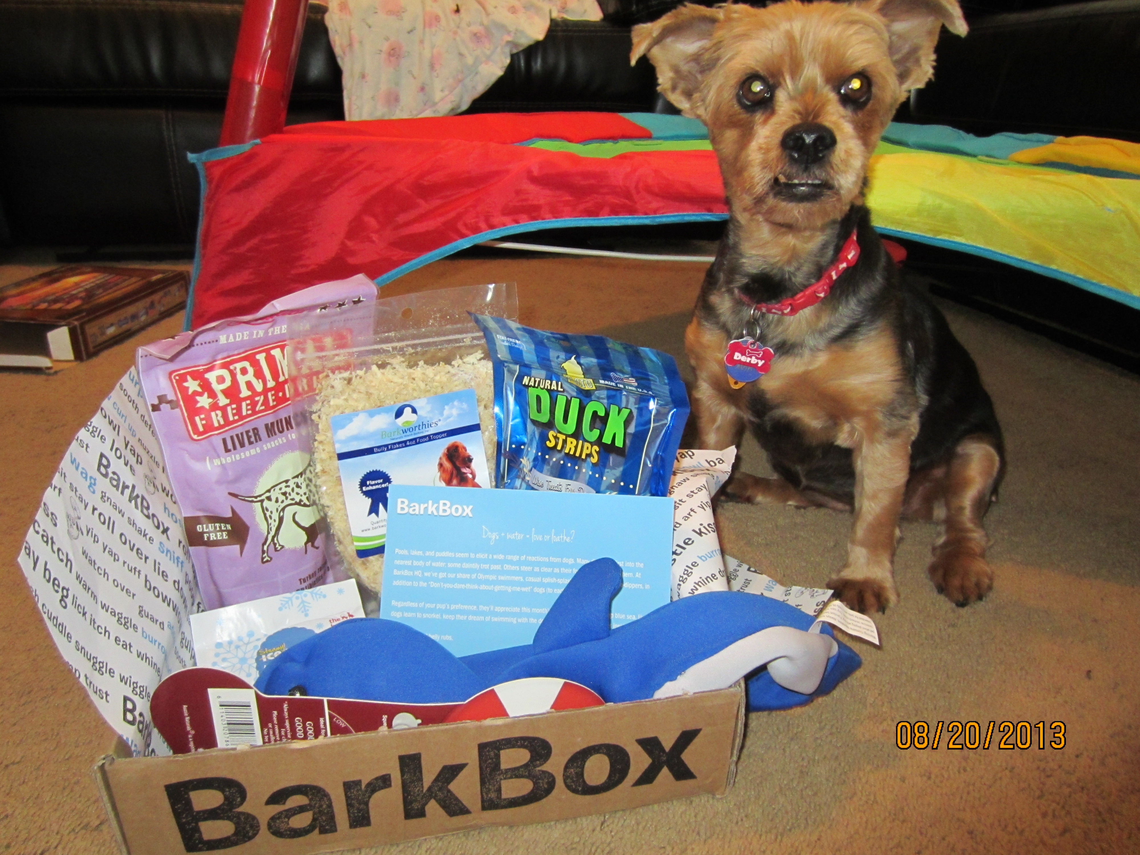 BarkBox August Review